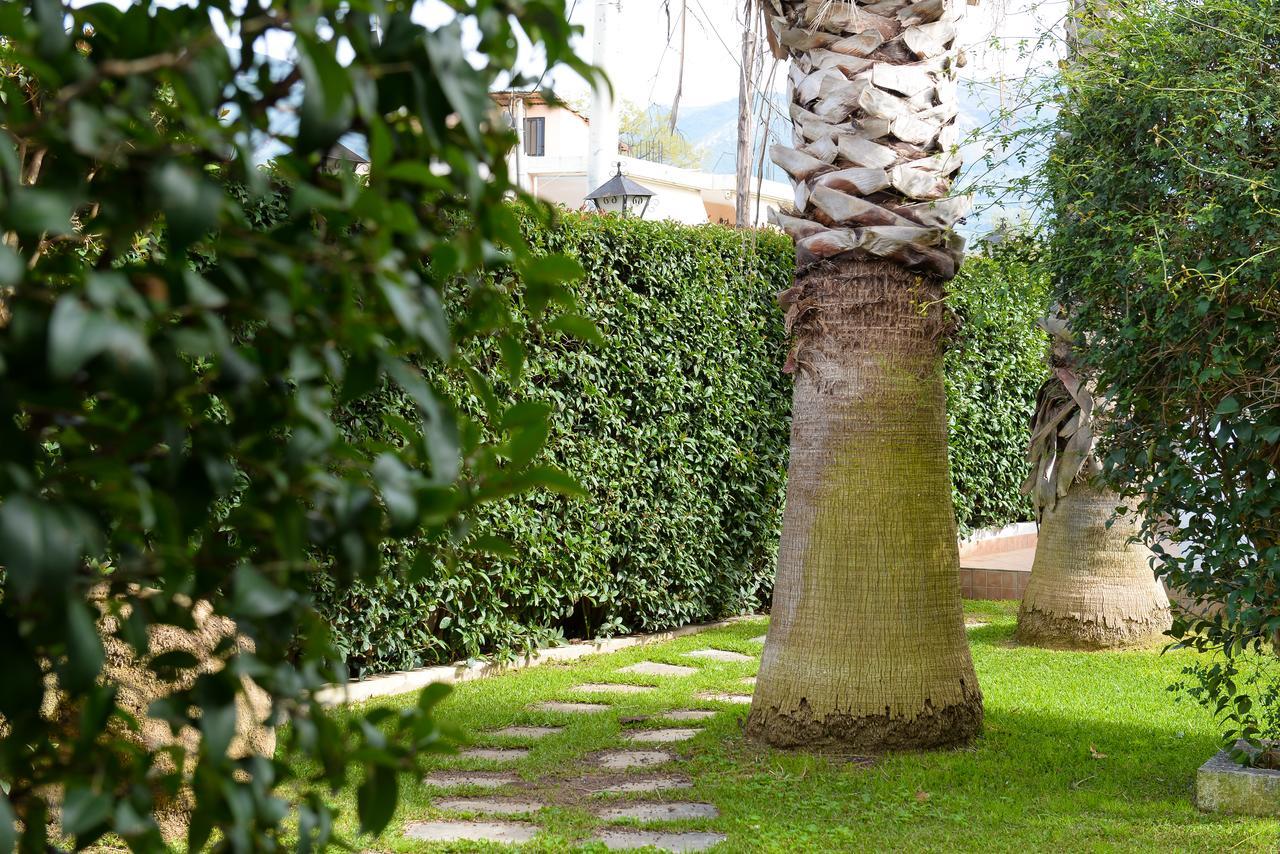 Ferienwohnung Patras Palm Tree Exterior foto